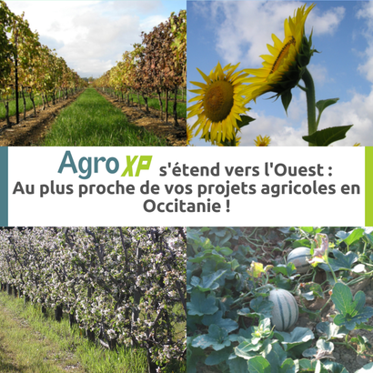 Développement d'Agro XP : Création d'une antenne dans le Sud-Ouest Développement d'Agro XP : Création d'une antenne dans le Sud-Ouest