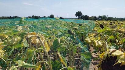 Flexibilité Flexibilité