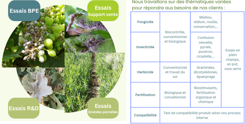 Nos Prestations : Un Accompagnement sur Mesure Nos Prestations : Un Accompagnement sur Mesure