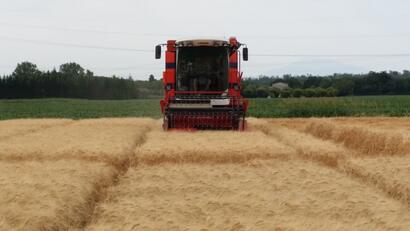 Expansion et Reconnaissance (2008-2020) Expansion et Reconnaissance (2008-2020)