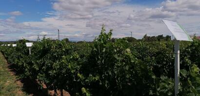 essai support vente essai support vente