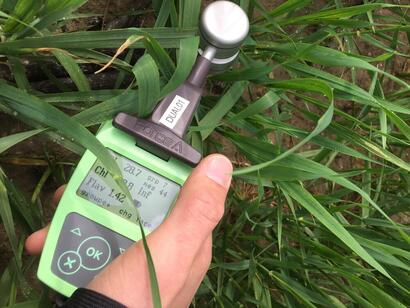 Innovation Innovation